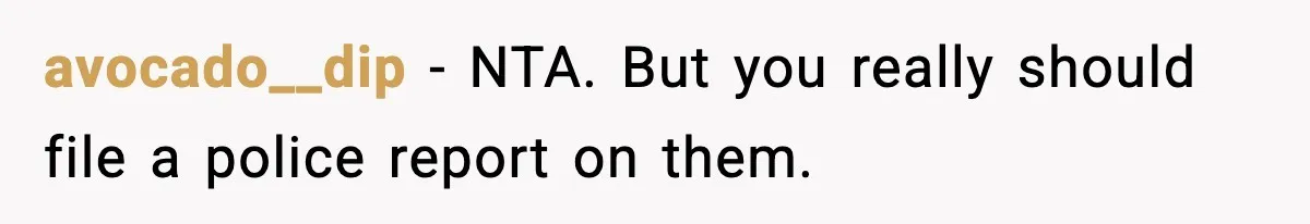 avocado__dip − NTA. But you really should file a police report on them.