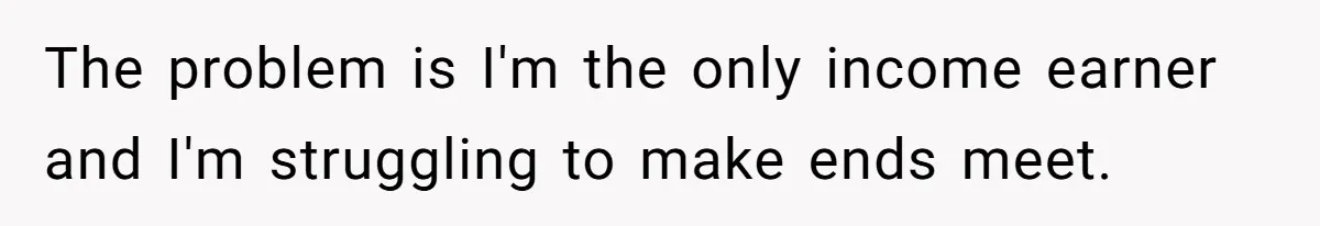 The problem is I'm the only income earner and I'm struggling to make ends meet.