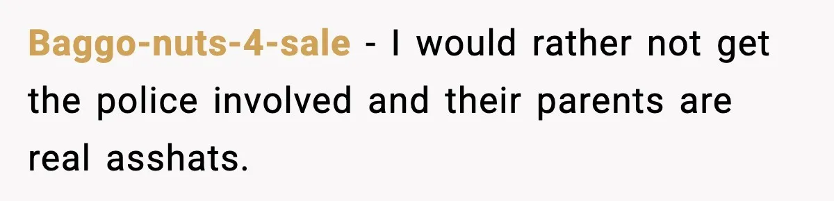 Baggo-nuts-4-sale − I would rather not get the police involved and their parents are real asshats.