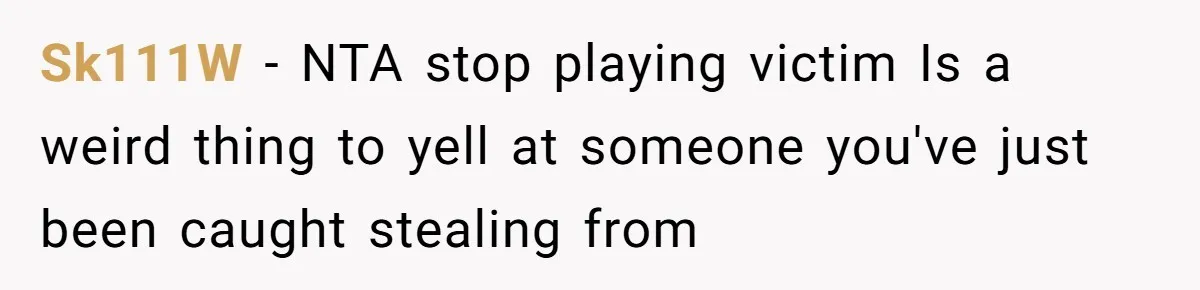 Sk111W − NTA stop playing victim Is a weird thing to yell at someone you've just been caught stealing from