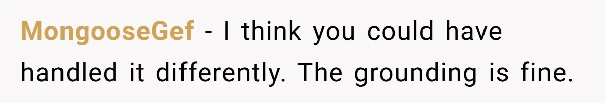 MongooseGef − I think you could have handled it differently. The grounding is fine.