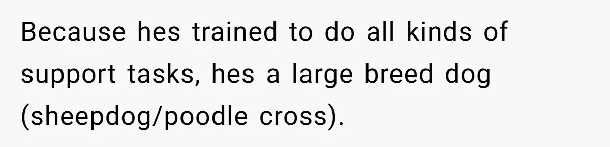 Because hes trained to do all kinds of support tasks, hes a large breed dog (sheepdog/poodle cross).