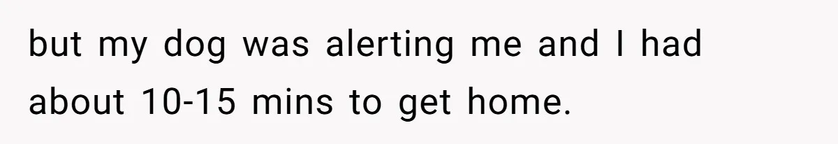 but my dog was alerting me and I had about 10-15 mins to get home.