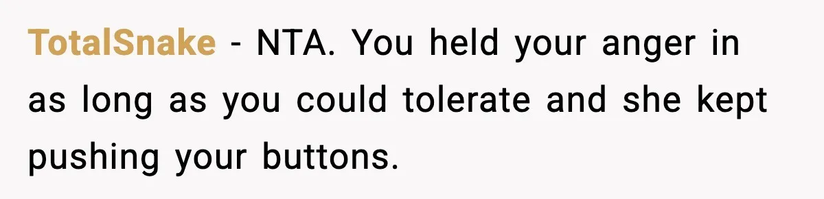 TotalSnake − NTA. You held your anger in as long as you could tolerate and she kept pushing your buttons.