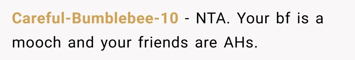 Careful-Bumblebee-10 − NTA. Your bf is a mooch and your friends are AHs.