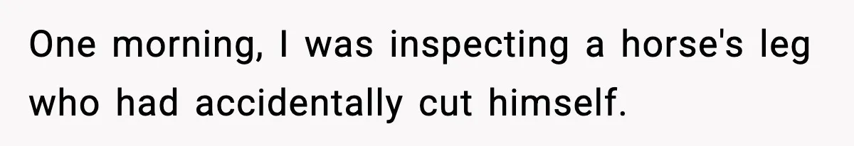 One morning, I was inspecting a horse's leg who had accidentally cut himself.