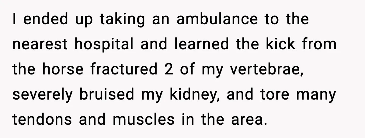 I ended up taking an ambulance to the nearest hospital and learned the kick from the horse fractured 2 of my vertebrae, severely bruised my kidney, and tore many tendons...
