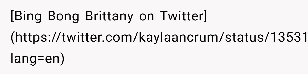 [Bing Bong Brittany on Twitter](https://twitter.com/kaylaancrum/status/1353162732623851520?lang=en)