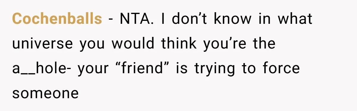 Cochenballs − NTA. I don’t know in what universe you would think you’re the a__hole- your “friend” is trying to force someone