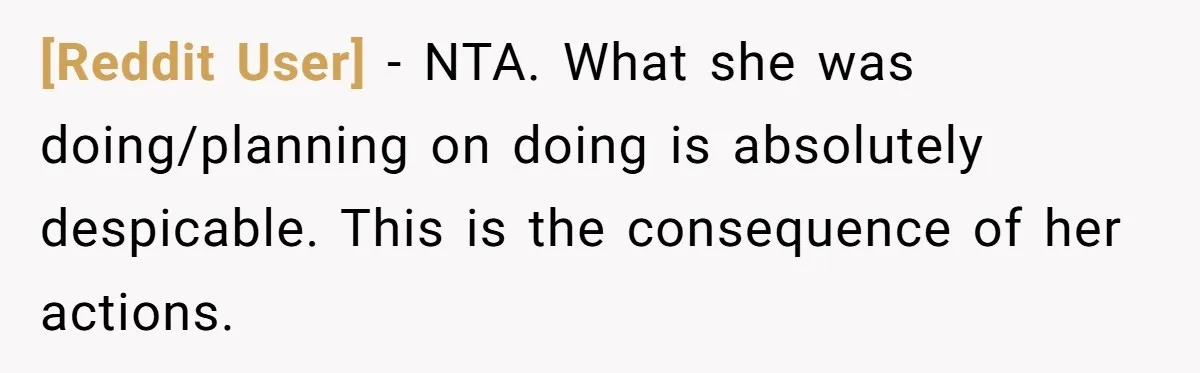 [Reddit User] − NTA. What she was doing/planning on doing is absolutely despicable. This is the consequence of her actions.