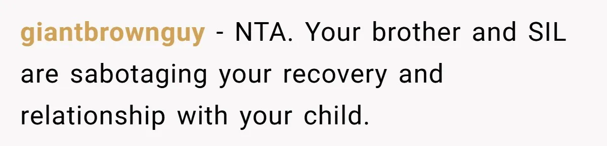 giantbrownguy − NTA. Your brother and SIL are sabotaging your recovery and relationship with your child.