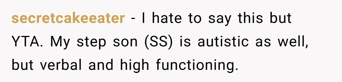 secretcakeeater − I hate to say this but YTA. My step son (SS) is autistic as well, but verbal and high functioning.