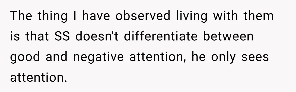 The thing I have observed living with them is that SS doesn't differentiate between good and negative attention, he only sees attention.