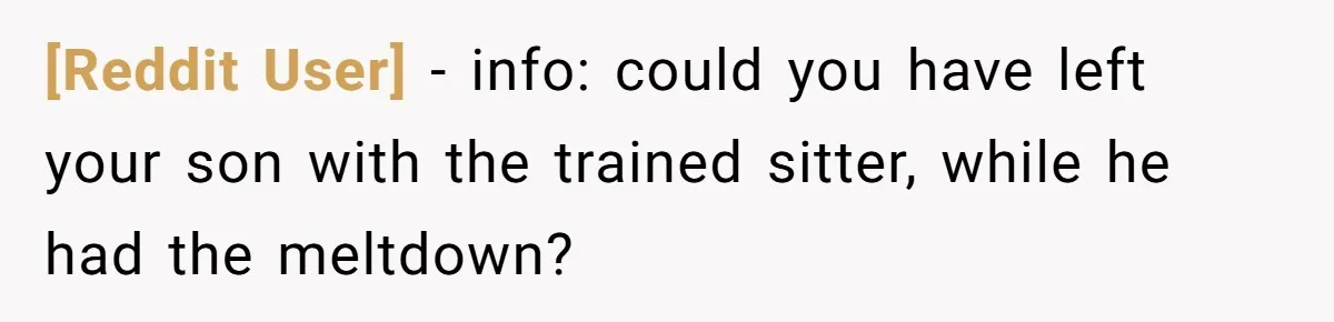 [Reddit User] − info: could you have left your son with the trained sitter, while he had the meltdown?