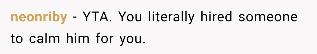 neonriby − YTA. You literally hired someone to calm him for you.