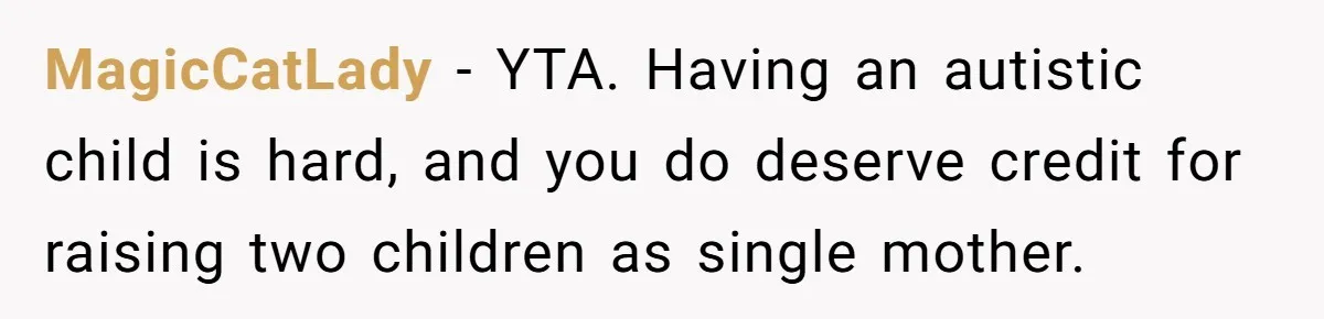 MagicCatLady − YTA. Having an autistic child is hard, and you do deserve credit for raising two children as single mother.
