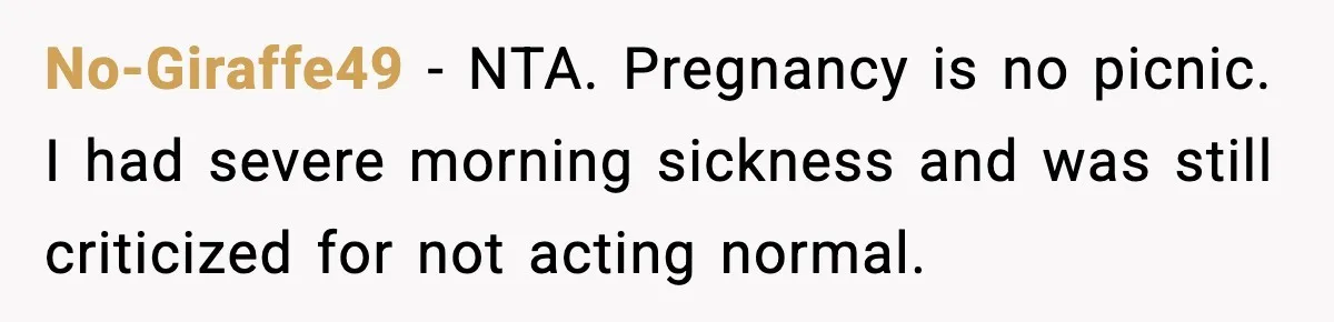 No-Giraffe49 - NTA. Pregnancy is no picnic. I had severe morning sickness and was still criticized for not acting normal.