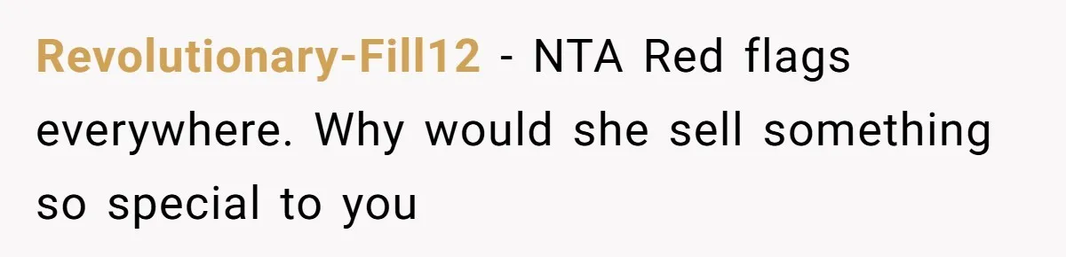 Revolutionary-Fill12 − NTA Red flags everywhere. Why would she sell something so special to you