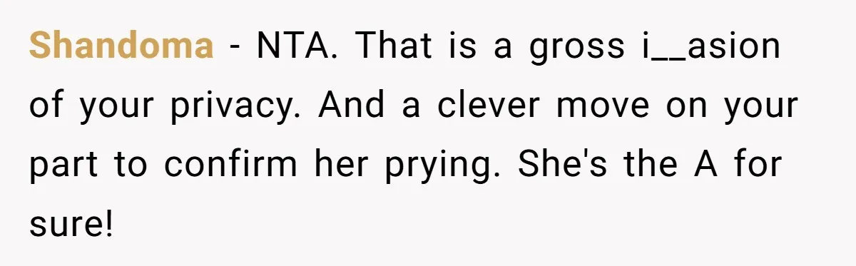 Shandoma − NTA. That is a gross i__asion of your privacy. And a clever move on your part to confirm her prying. She's the A for sure!