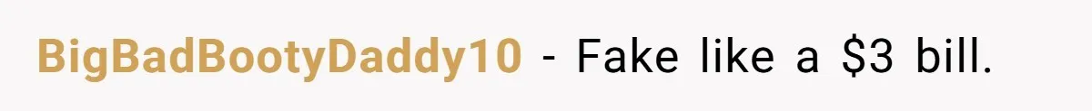 BigBadBootyDaddy10 − Fake like a $3 bill.