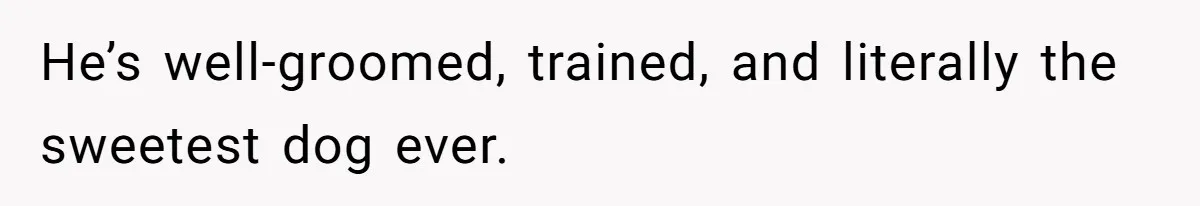 He’s well-groomed, trained, and literally the sweetest dog ever.