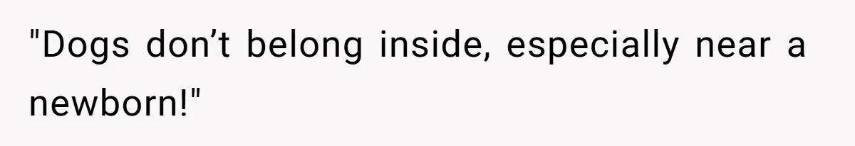 "Dogs don’t belong inside, especially near a newborn!"