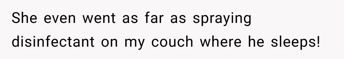 She even went as far as spraying disinfectant on my couch where he sleeps!