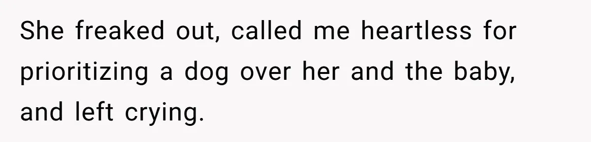 She freaked out, called me heartless for prioritizing a dog over her and the baby, and left crying.
