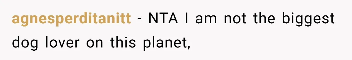 agnesperditanitt − NTA I am not the biggest dog lover on this planet,
