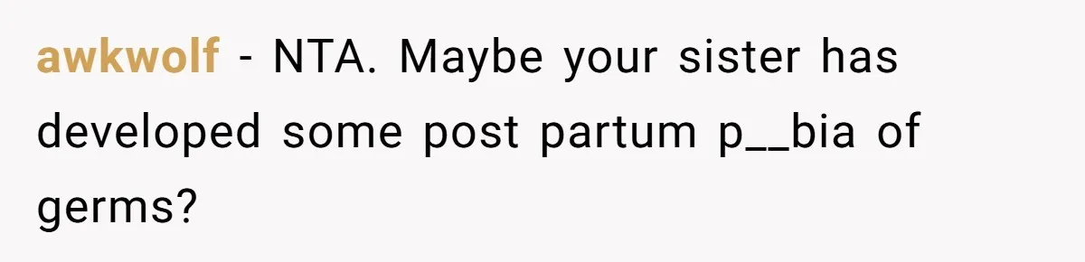 awkwolf − NTA. Maybe your sister has developed some post partum p__bia of germs?