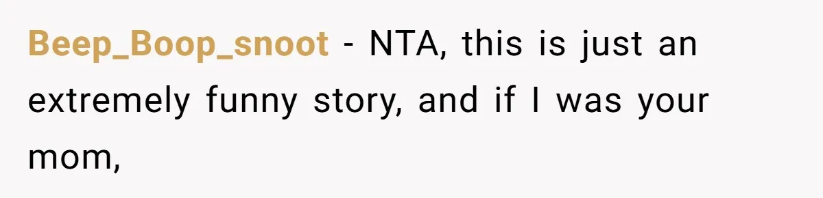 Beep_Boop_snoot − NTA, this is just an extremely funny story, and if I was your mom,