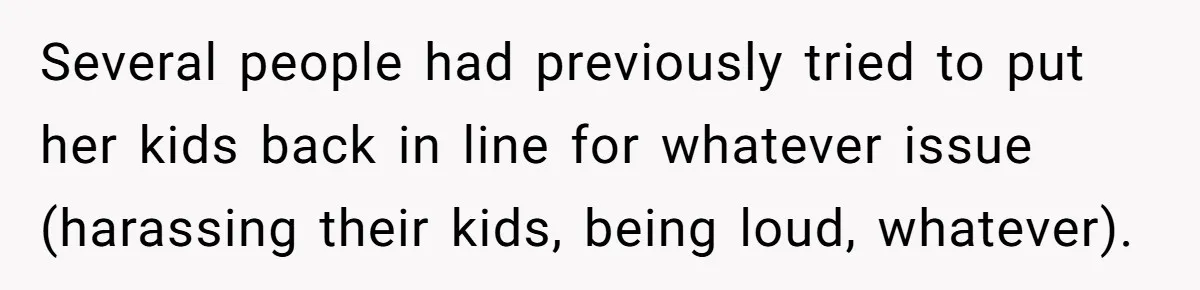 Several people had previously tried to put her kids back in line for whatever issue (harassing their kids, being loud, whatever).