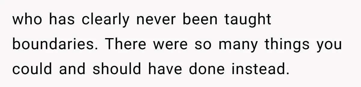 who has clearly never been taught boundaries. There were so many things you could and should have done instead.