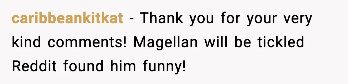caribbeankitkat - Thank you for your very kind comments! Magellan will be tickled Reddit found him funny!