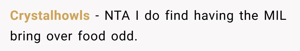 Crystalhowls − NTA I do find having the MIL bring over food odd.