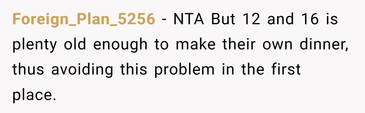 Foreign_Plan_5256 − NTA But 12 and 16 is plenty old enough to make their own dinner, thus avoiding this problem in the first place.