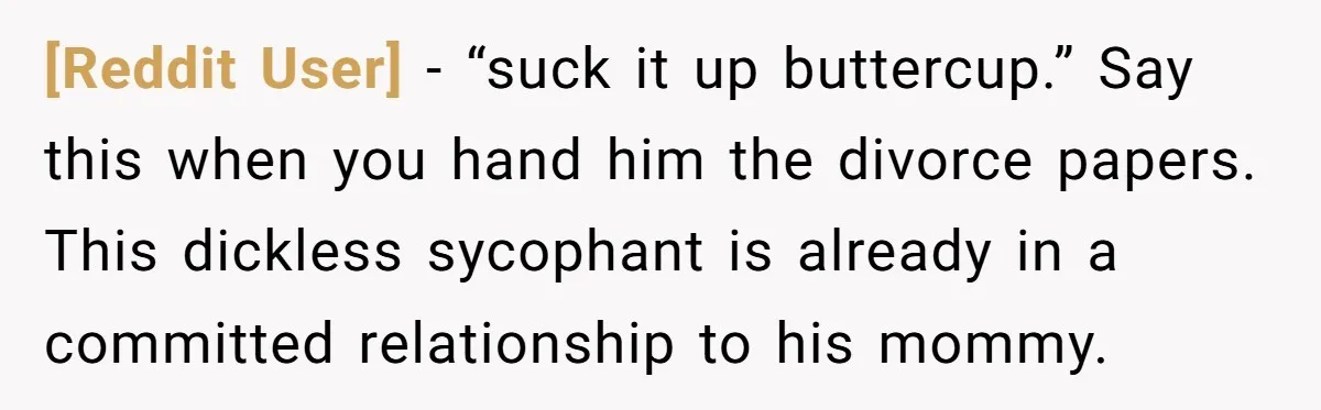 [Reddit User] − “suck it up buttercup.” Say this when you hand him the divorce papers. This dickless sycophant is already in a committed relationship to his mommy.