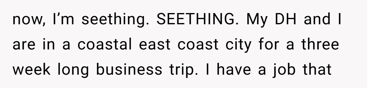 now, I’m seething. SEETHING. My DH and I are in a coastal east coast city for a three week long business trip. I have a job that