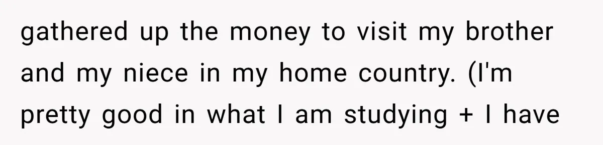 gathered up the money to visit my brother and my niece in my home country. (I'm pretty good in what I am studying + I have
