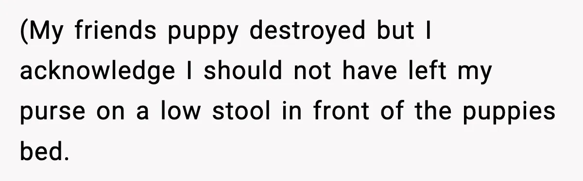 (My friends puppy destroyed but I acknowledge I should not have left my purse on a low stool in front of the puppies bed.