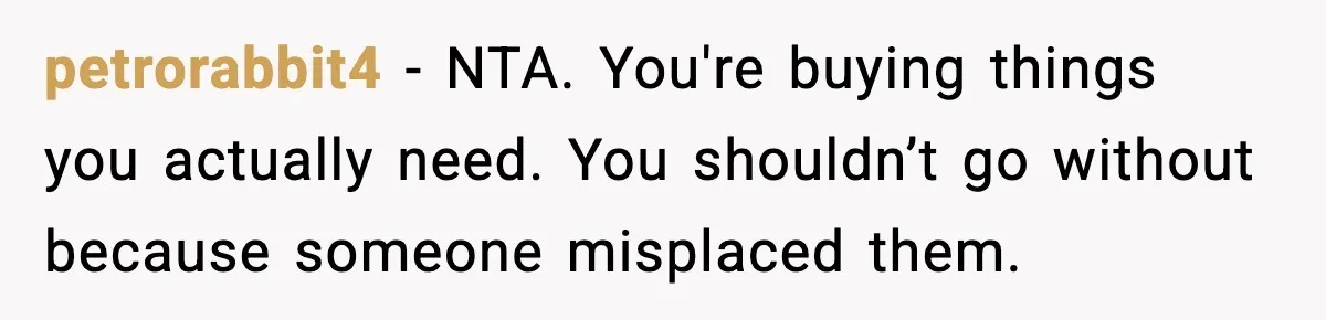 petrorabbit4 - NTA. You're buying things you actually need. You shouldn’t go without because someone misplaced them.