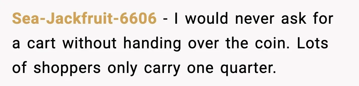Shopper Refuses to Give Up Aldi Cart for Free and Gets Side-Eyed Sea-Jackfruit-6606 - I would never ask for a cart without handing over the coin. Lots of shoppers only carry one quarter.