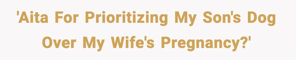 'AITA for prioritizing my son's dog over my wife's pregnancy?'