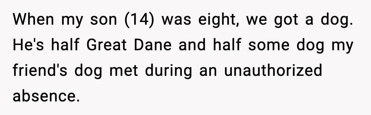 When my son (14) was eight, we got a dog. He's half Great Dane and half some dog my friend's dog met during an unauthorized absence.