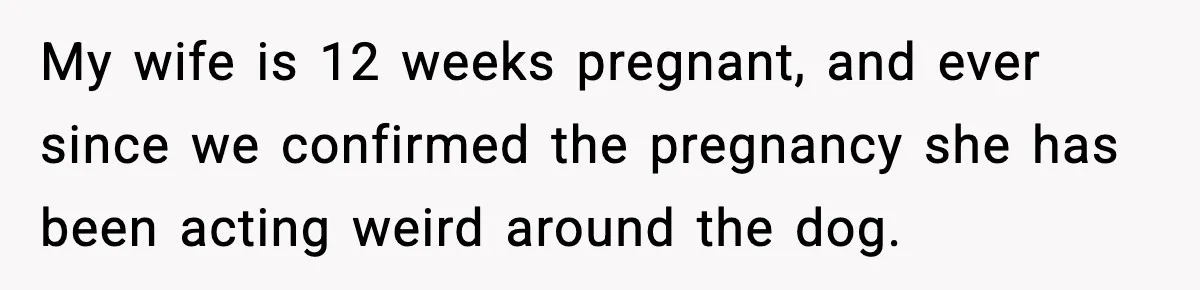 My wife is 12 weeks pregnant, and ever since we confirmed the pregnancy she has been acting weird around the dog.