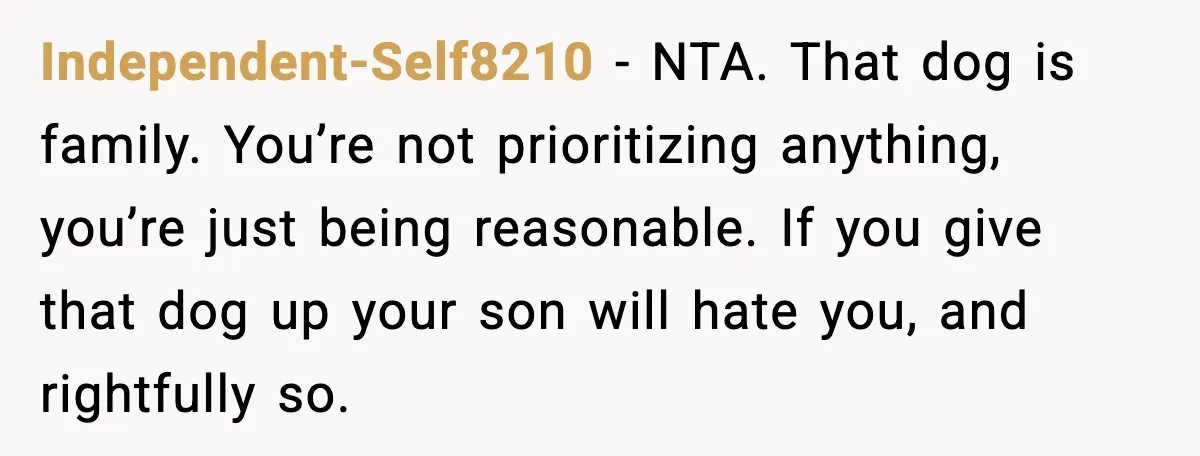 Independent-Self8210 - NTA. That dog is family. You’re not prioritizing anything, you’re just being reasonable. If you give that dog up your son will hate you, and rightfully so.