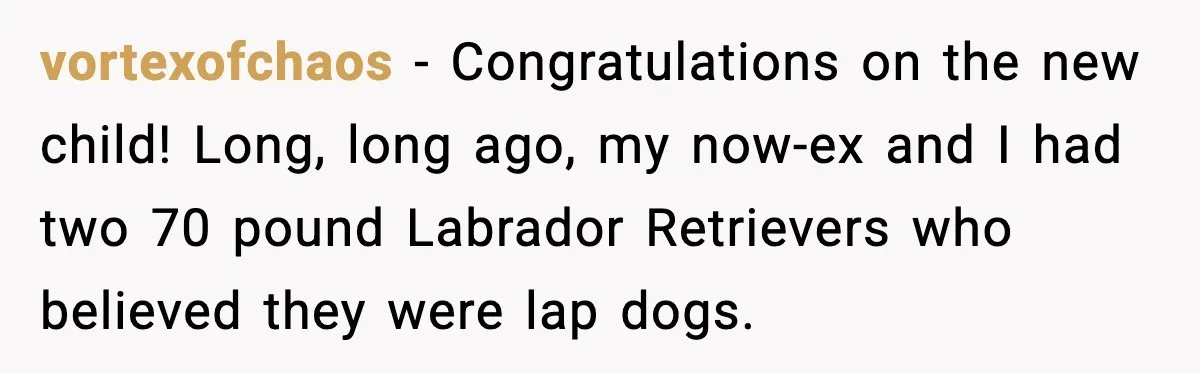 vortexofchaos - Congratulations on the new child! Long, long ago, my now-ex and I had two 70 pound Labrador Retrievers who believed they were lap dogs.