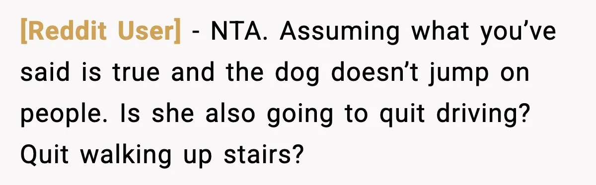 [Reddit User] - NTA. Assuming what you’ve said is true and the dog doesn’t jump on people. Is she also going to quit driving? Quit walking up stairs?