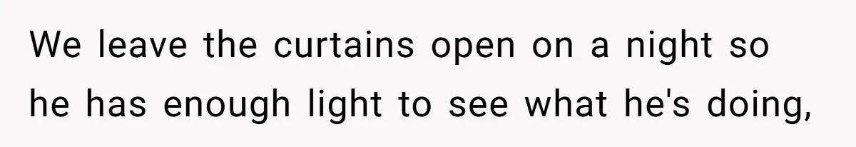 We leave the curtains open on a night so he has enough light to see what he's doing,