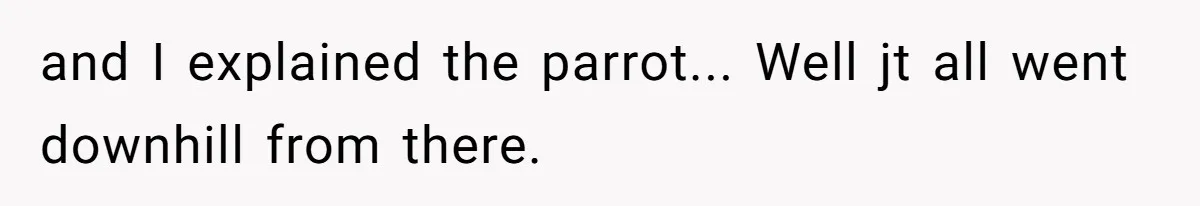and I explained the parrot... Well jt all went downhill from there.